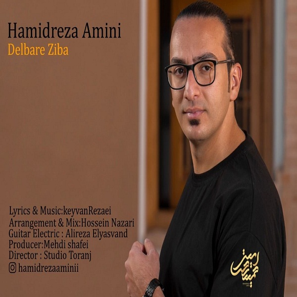 دانلود آهنگ حمیدرضا امینی دلبر زیبا